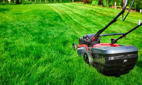 lawn mowing big river lawn