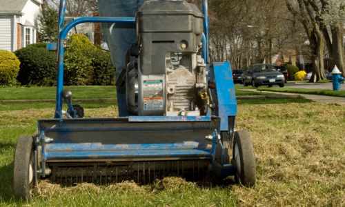 thatching big river lawn